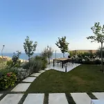 Green Coast Palase 241